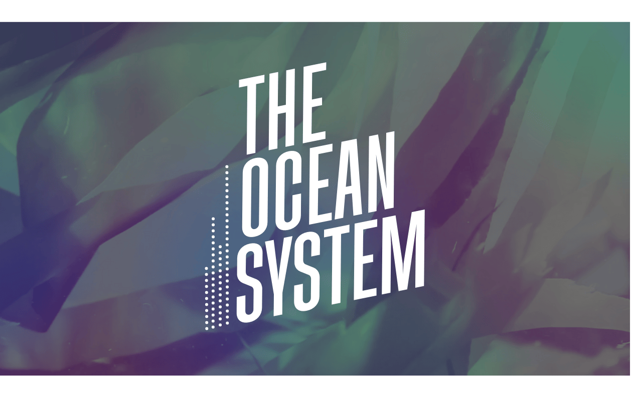 The Ocean System