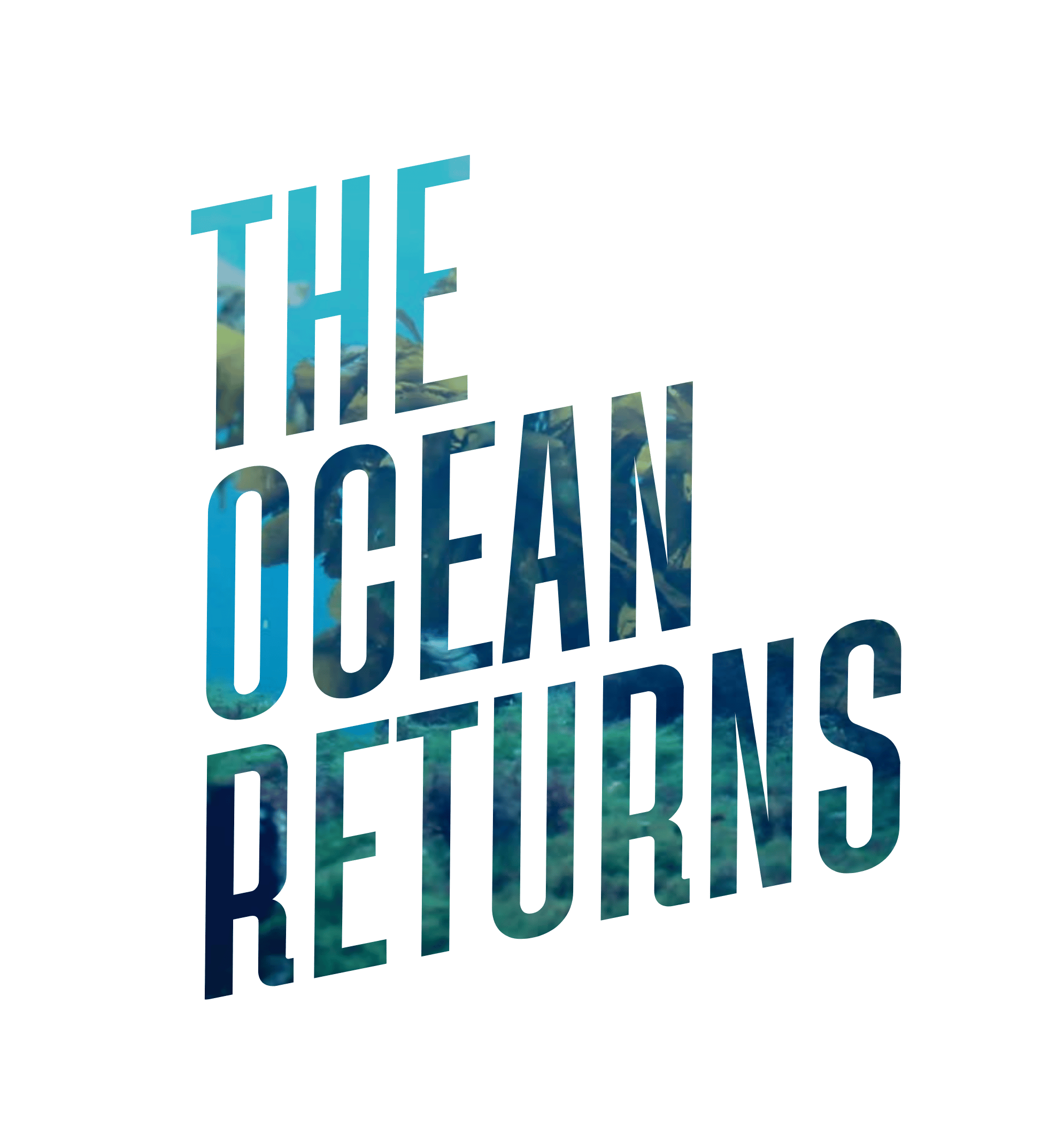 The Ocean Returns
