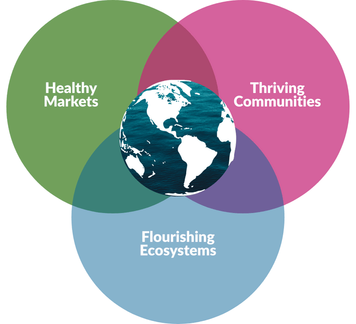 A venn diagram showing healthy markets, thriving communities and flourishing ecosystems with the Earth at the center